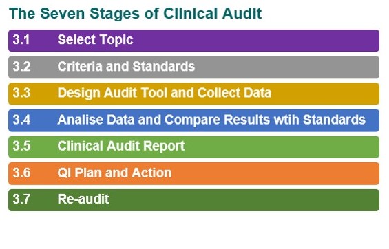 7 stages of clinical audit